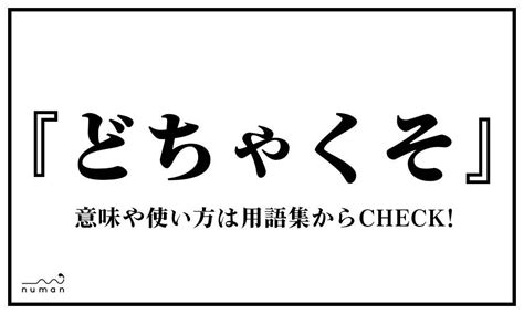 ドチャクソ|どちゃくそとは？意味・元ネタ・使い方14選！「どちゃしこ・違。